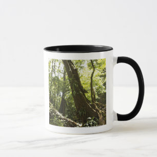 rainforest view, Dominica Mug