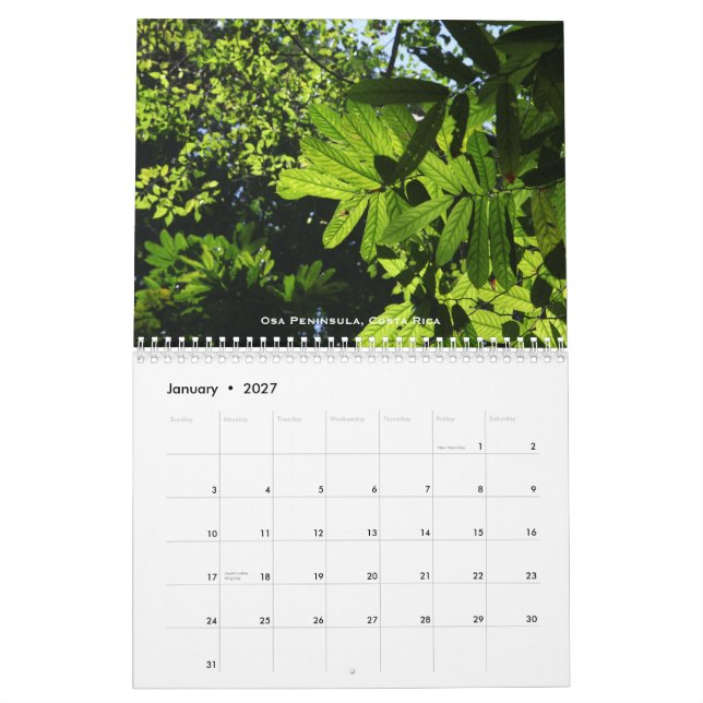Rainforests Calendar (Jan 2027)