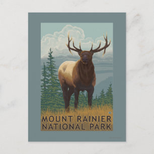 Rainier National Park, WashingtonElk Scene Postcard