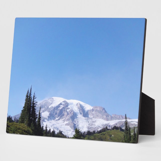 Rainier PDSC213 Plaque (Side)