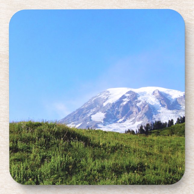Rainier PDSC230 Coaster (Front)