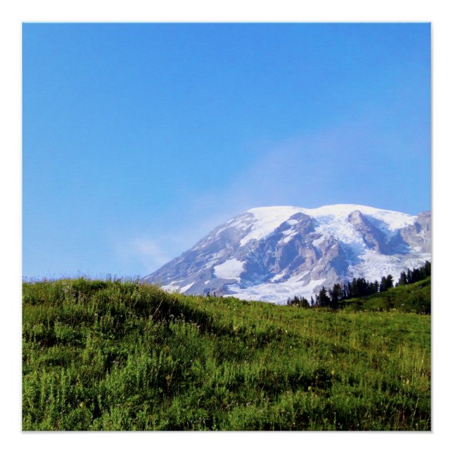 Rainier PDSC230 Poster (Front)