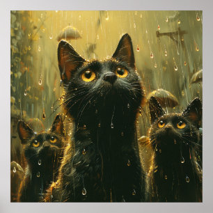 Raining cats and dogs? poster