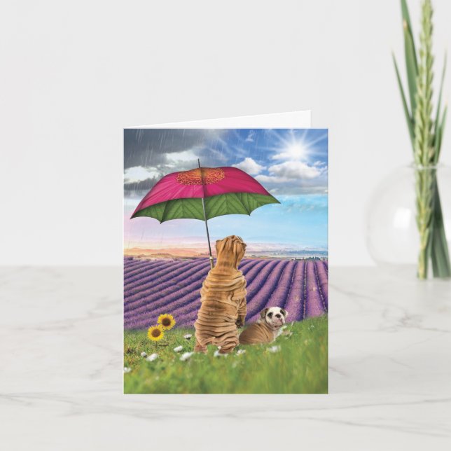 Raining Dogs Get Well Card (Front)
