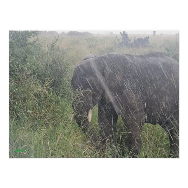 Rains Down in Africa Poster (Front)