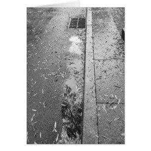Rainwashed Reflection / noir, card