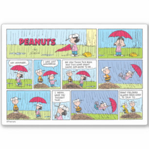 Rainy Day At The Baseball Game