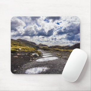 Rainy Day In Torres Del Paine NP Mouse Pad