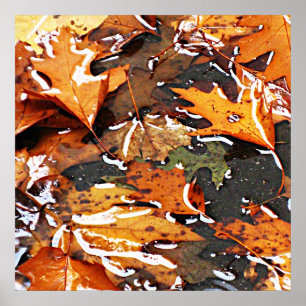 Rainy Day Leaves Poster