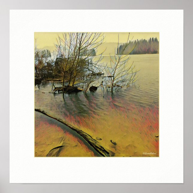 Rainy Day Poster (Front)