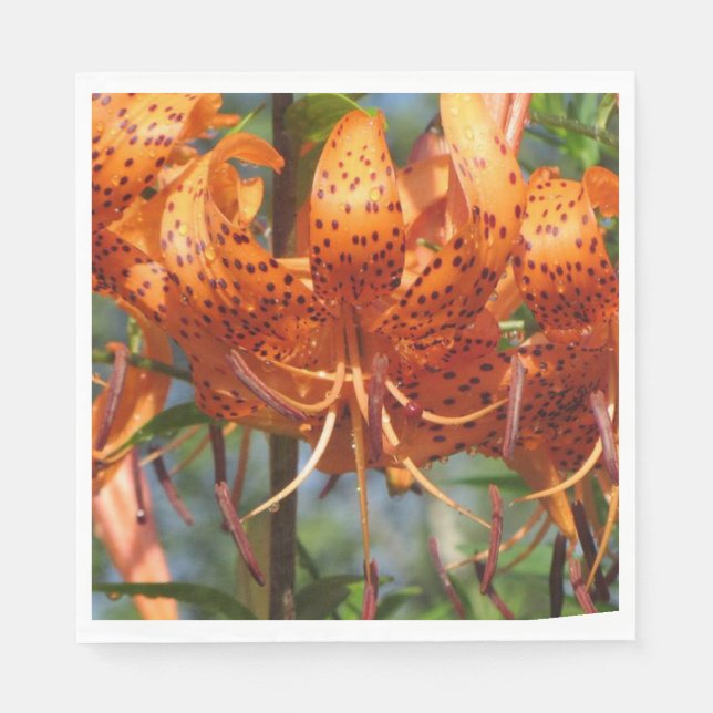 Rainy Day Tiger Lilies Napkin (Front)