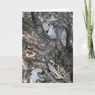 Rainy Day Tree Roots Puddle Nature Photography Card