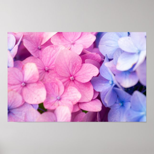 Rainy Days Poster (Front)