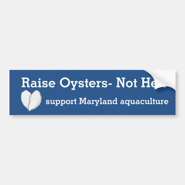 Raise Oysters-Not Hell. Bumper Sticker (Front)