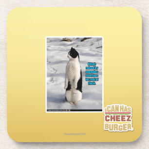 Raised by Penguins Coaster