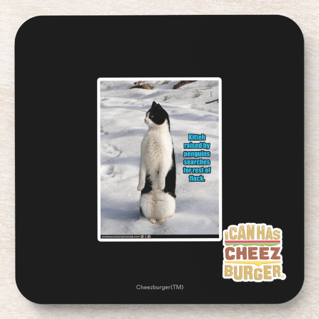 Raised by Penguins Coaster (Front)