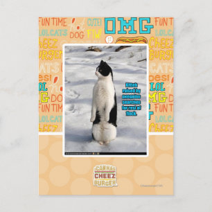 Raised by Penguins Postcard