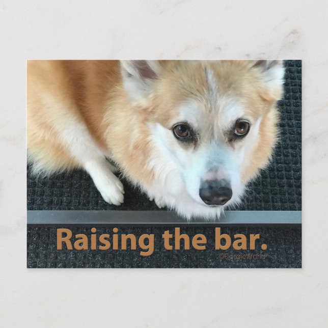 Raising the Bar Corgi Postcard (Front)