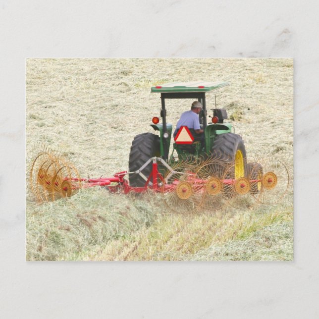 Raking Hay On A Summer Day Postcard (Front)