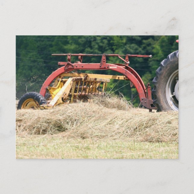 Raking Hay With An Old Towed Rake Postcard (Front)