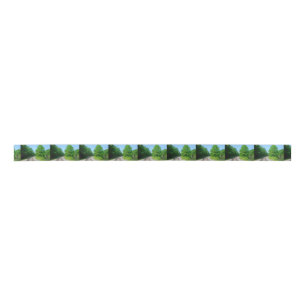 Raleigh County Train Tracks Satin Ribbon