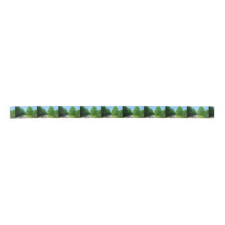 Raleigh County Train Tracks Satin Ribbon