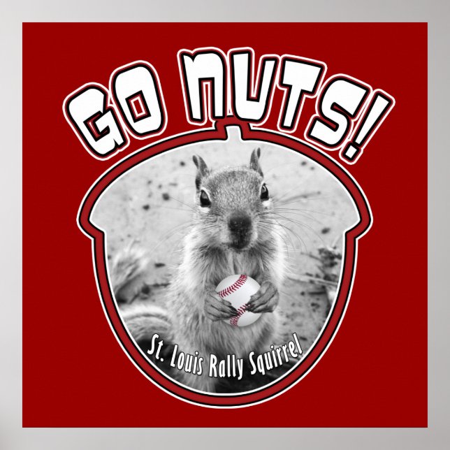 Rally Squirrel - Louis, Missouri Poster (Front)