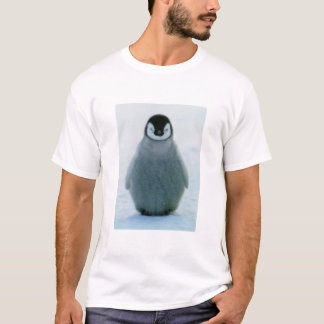 ralph T-Shirt