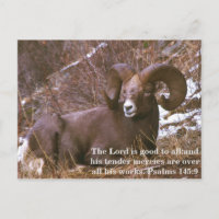 Ram bible verse
