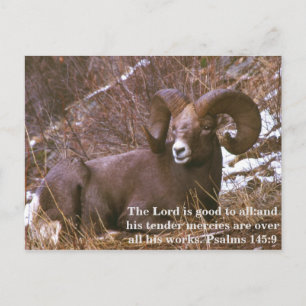 Ram bible verse postcard