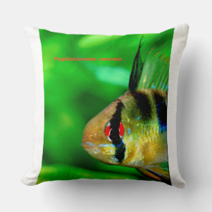 Ram Cichlid , Papiliochromis ramirezi Cushion