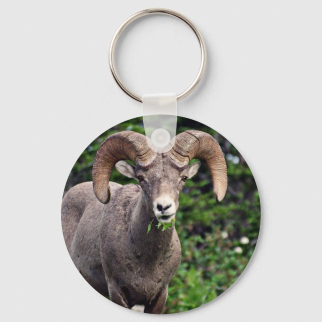 Ram Grazing Key Ring (Front)