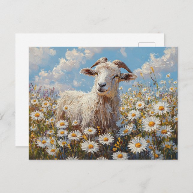Ram in a Daisy Field Painting Postcard (Front/Back)