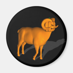 Ram Magnet