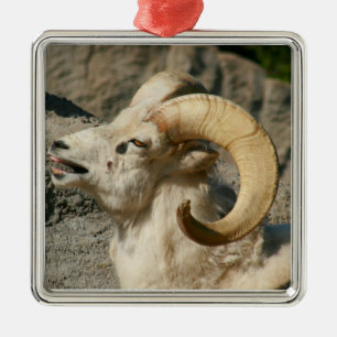 Ram or Bighorn Sheep Laughing Metal Tree Decoration