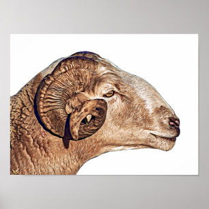 Ram Sheep Face Farm Animal nature wildlife Art Poster