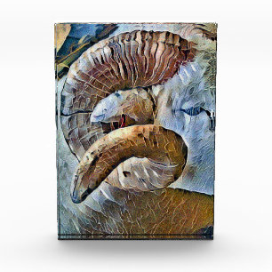 RAM SHEEP FARM ANIMAL PHOTO BLOCK