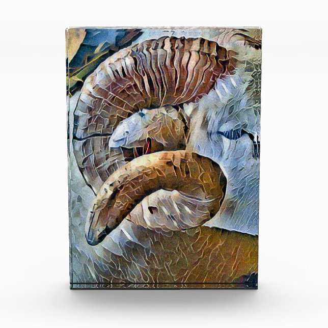 RAM SHEEP FARM ANIMAL PHOTO BLOCK (Front)