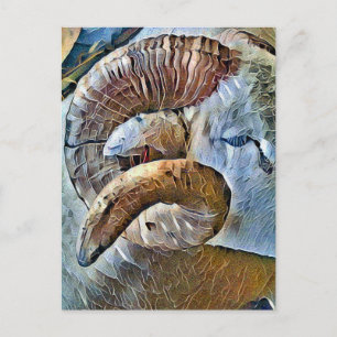 RAM SHEEP FARM ANIMAL POSTCARD