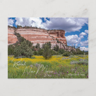 Ramah, New Mexico Postcard