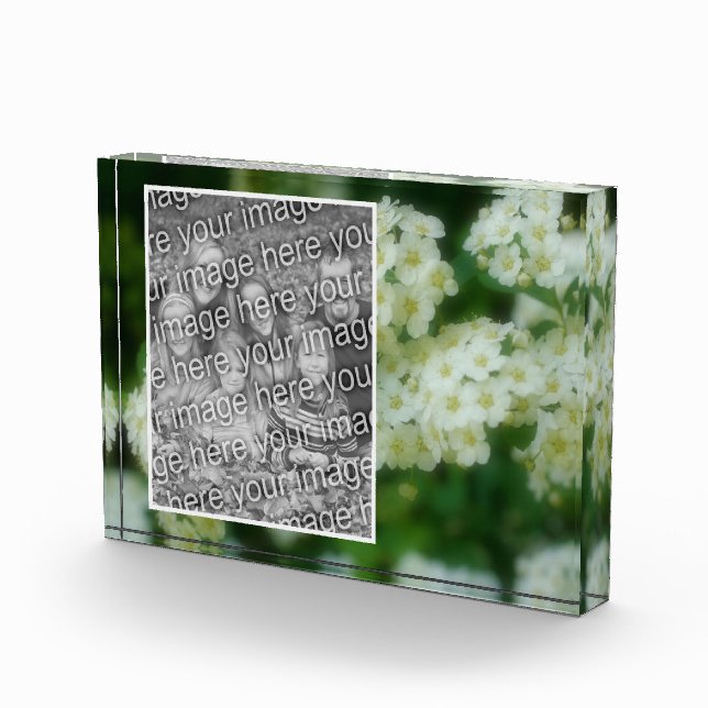 Rambling Wild White Roses Add Your Own  Photo Block (Right)