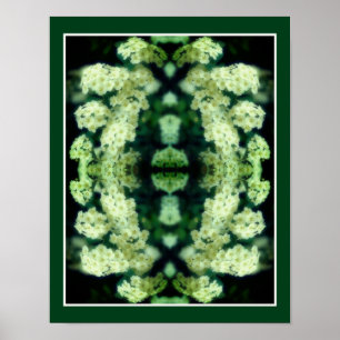 Rambling Wild White Roses Mirror Abstract Poster