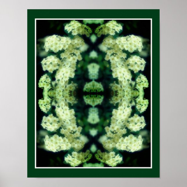 Rambling Wild White Roses Mirror Abstract Poster (Front)