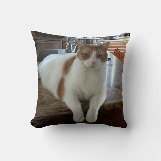 Rambo Kitty Cushion (Front)