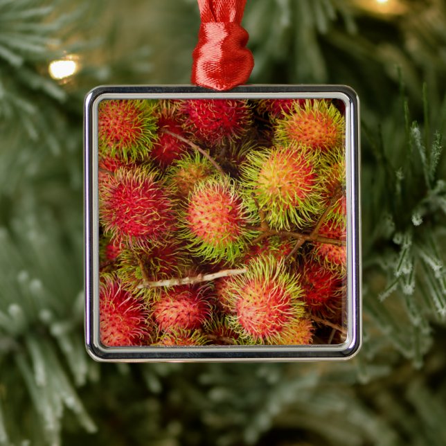 Rambutan Fruit at Can Duoc Market Metal Ornament (Tree)