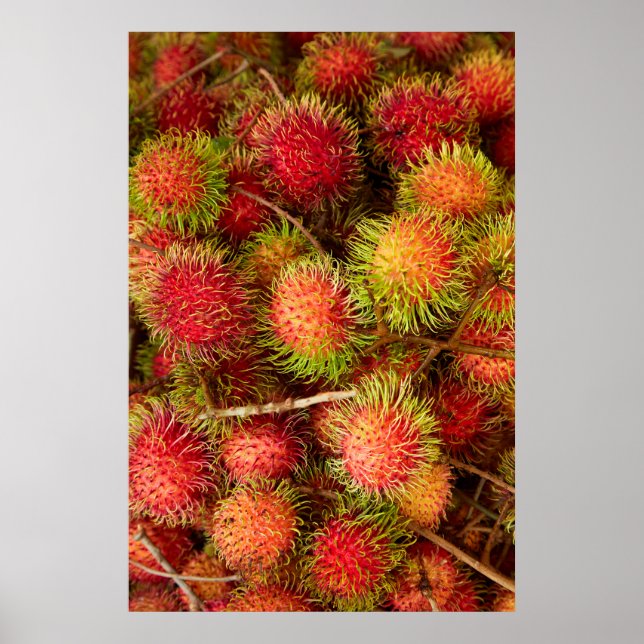 Rambutan Fruit at Can Duoc Market Poster (Front)