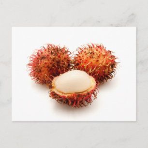 Rambutan Postcard