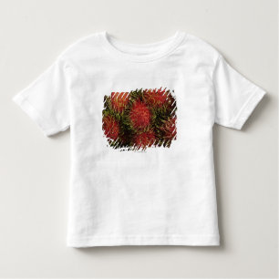Rambutan Toddler T-Shirt