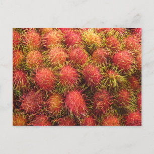 Rambutan Tropical Fruit Postcard
