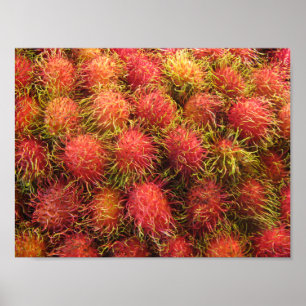 Rambutan Tropical Fruit Poster